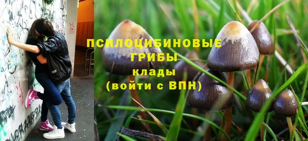 гашишное масло Краснослободск