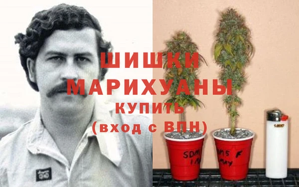 гашишное масло Краснослободск